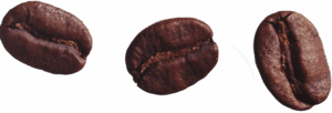 coffebeans