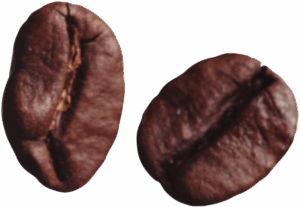 coffebeans